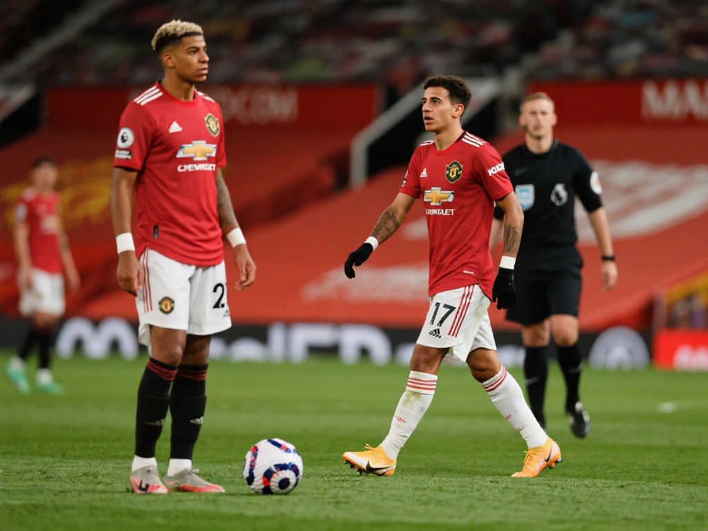 往往因为初 往往因为初